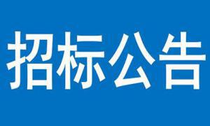 浮動碼頭采購項目競爭性磋商公告